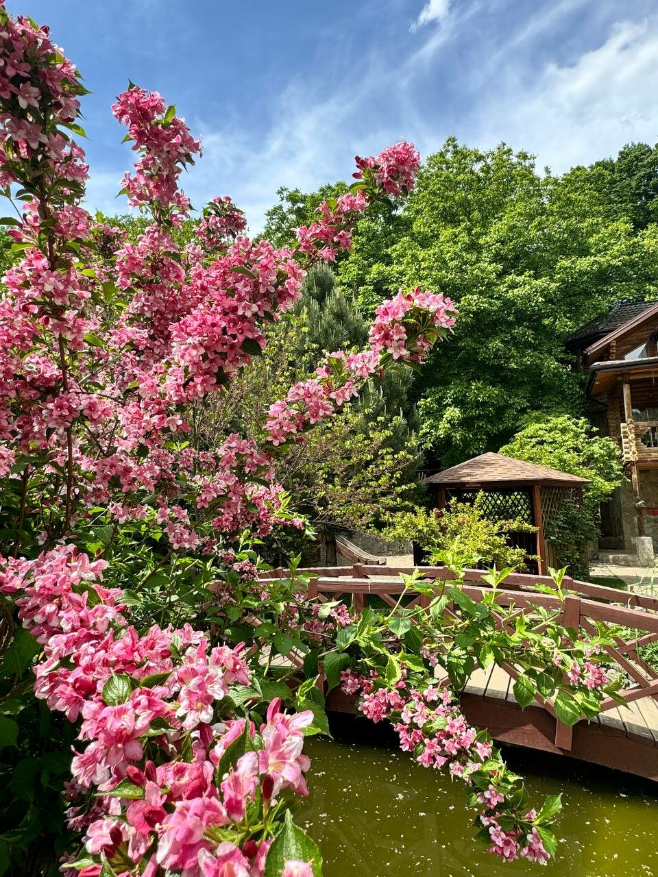 Гостиница Рябиновые бусы Каменномостский-47