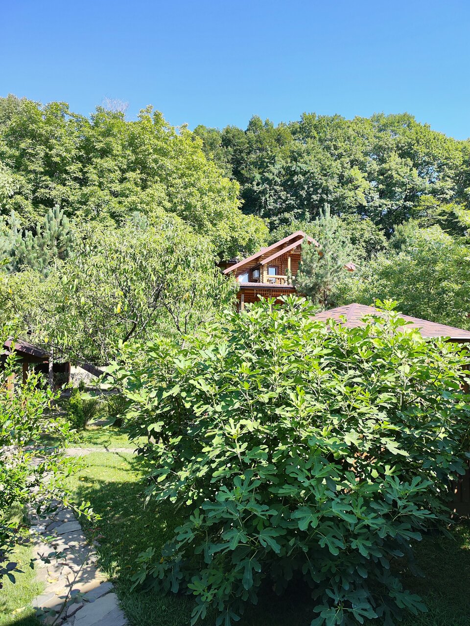 Гостиница Рябиновые бусы Каменномостский-236