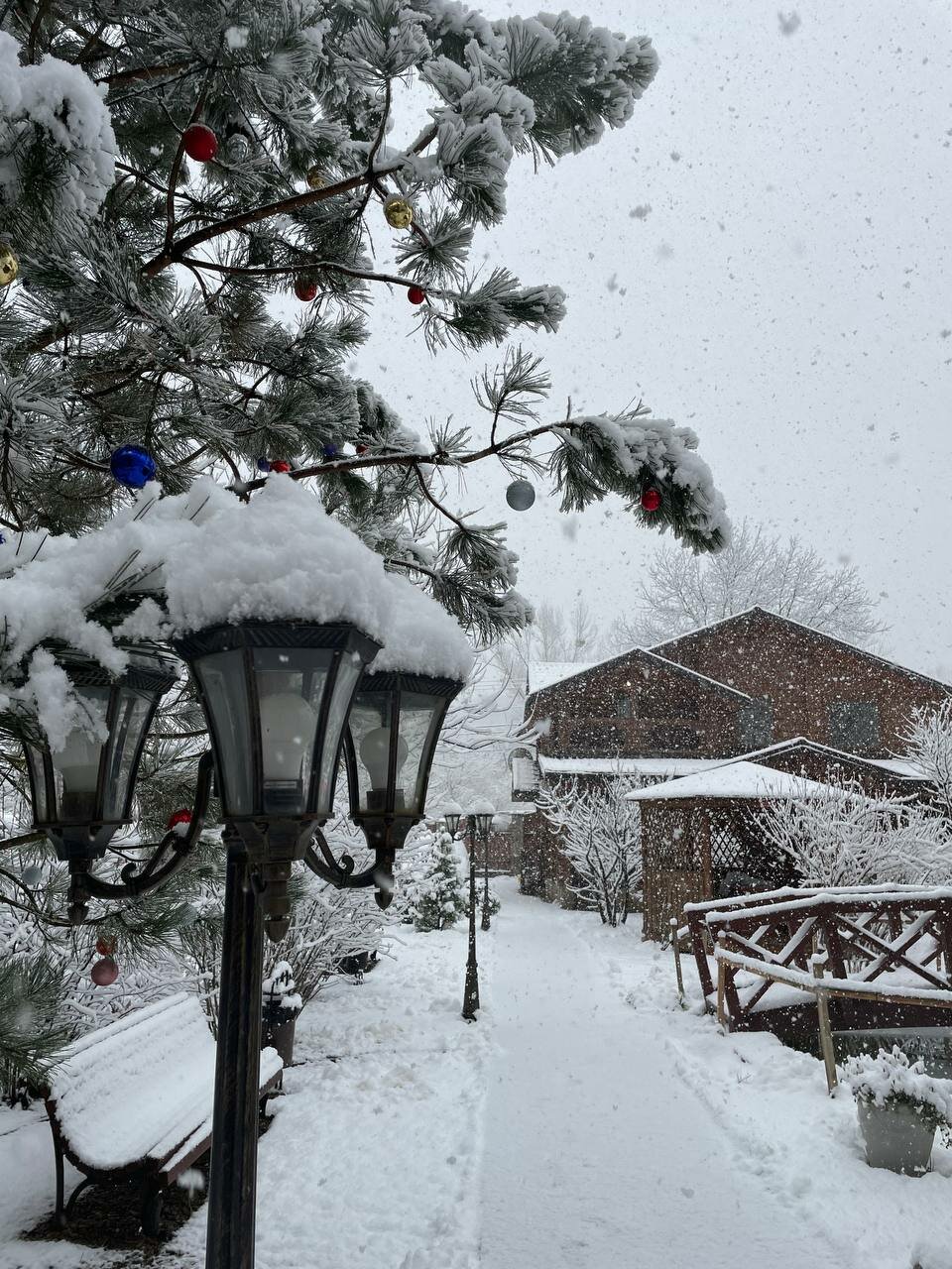 Гостиница Рябиновые бусы Каменномостский-115