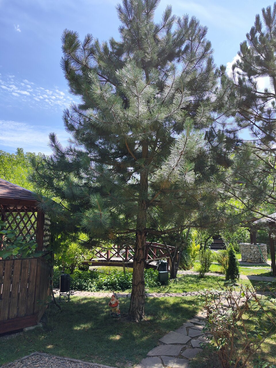 Гостиница Рябиновые бусы Каменномостский-51