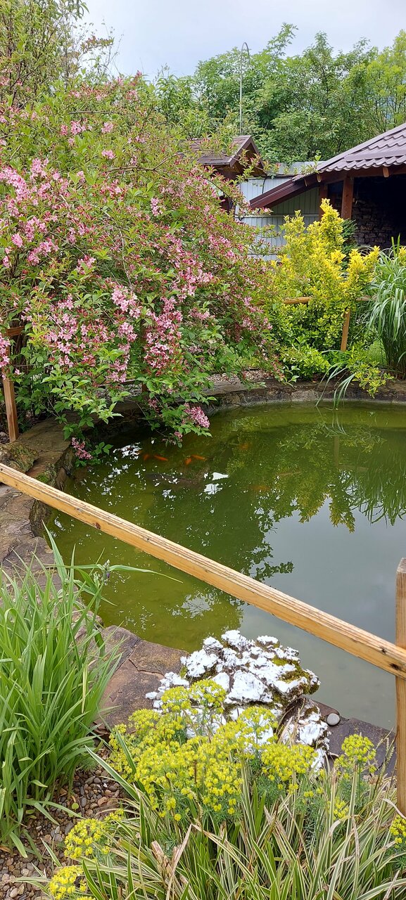 Гостиница Рябиновые бусы Каменномостский-217