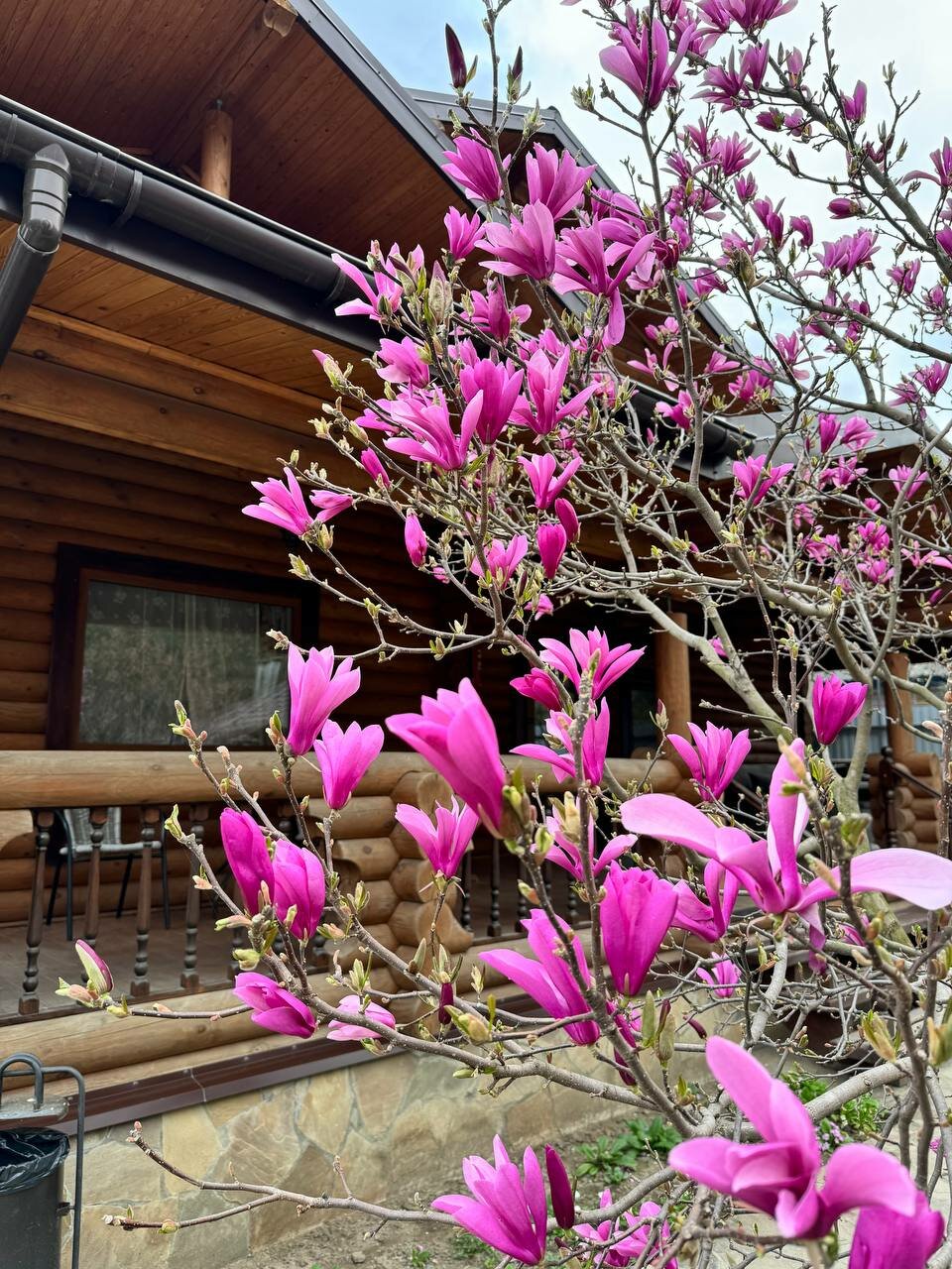 Гостиница Рябиновые бусы Каменномостский-152