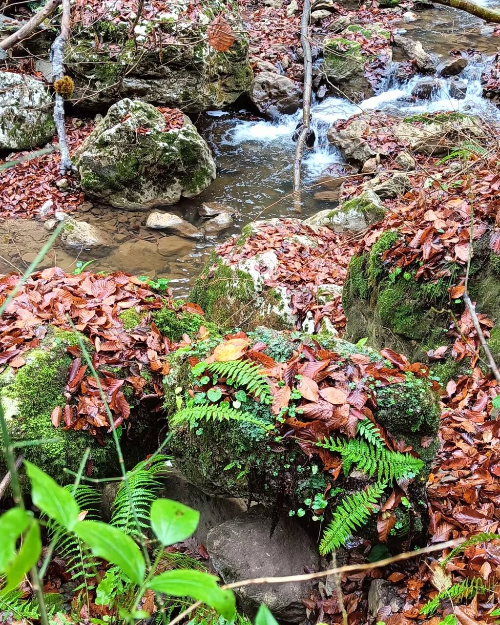 Гостиница Рябиновые бусы Каменномостский-233