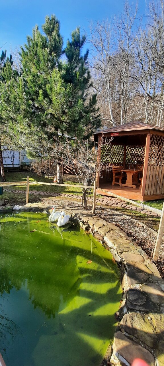 Гостиница Рябиновые бусы Каменномостский