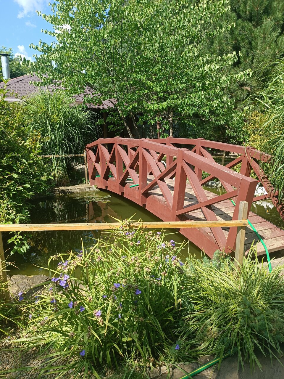 Гостиница Рябиновые бусы Каменномостский-126