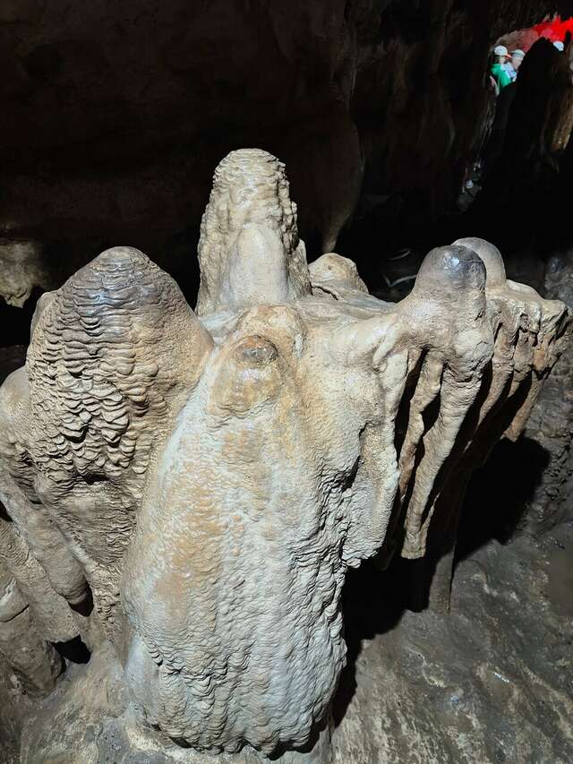 Гостиница Рябиновые бусы Каменномостский-234