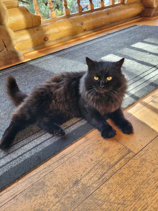 Гостиница Рябиновые бусы Каменномостский-165