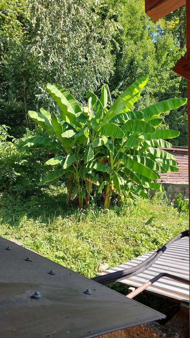 Гостиница Рябиновые бусы Каменномостский-51