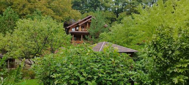 Гостиница Рябиновые бусы Каменномостский-115