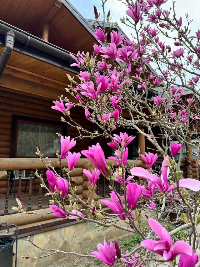 Гостиница Рябиновые бусы Каменномостский-151