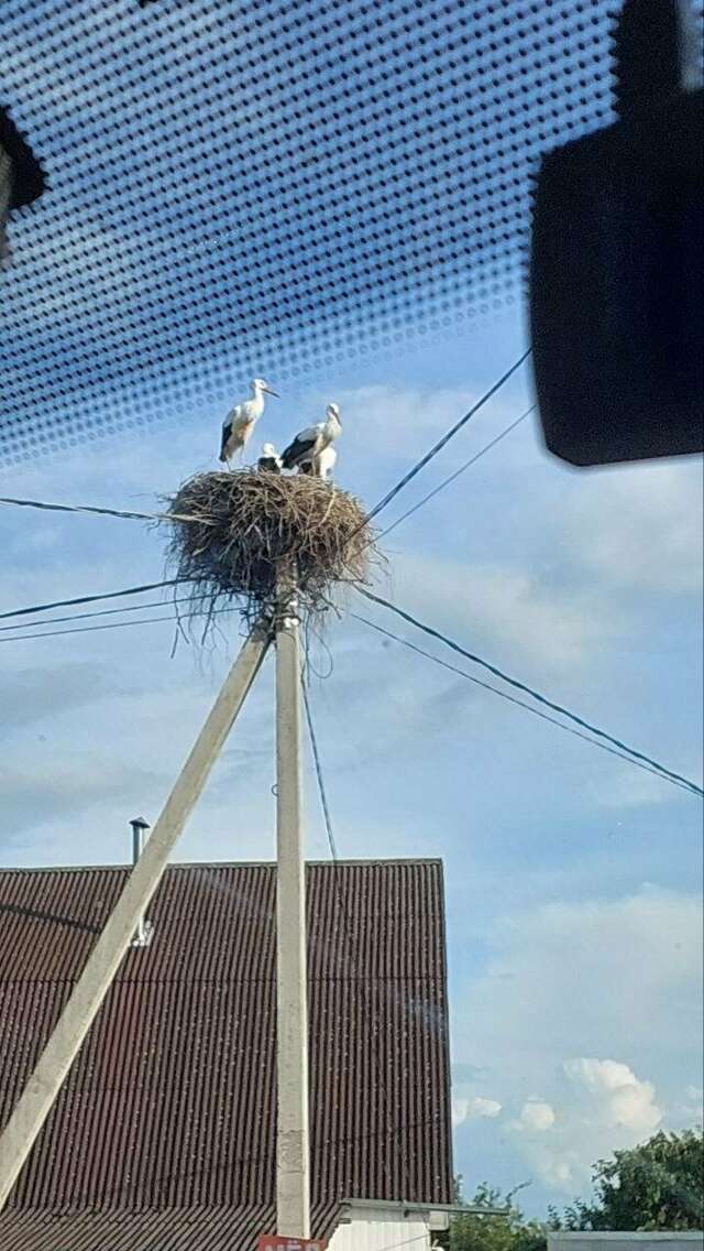 Гостиница Рябиновые бусы Каменномостский-141