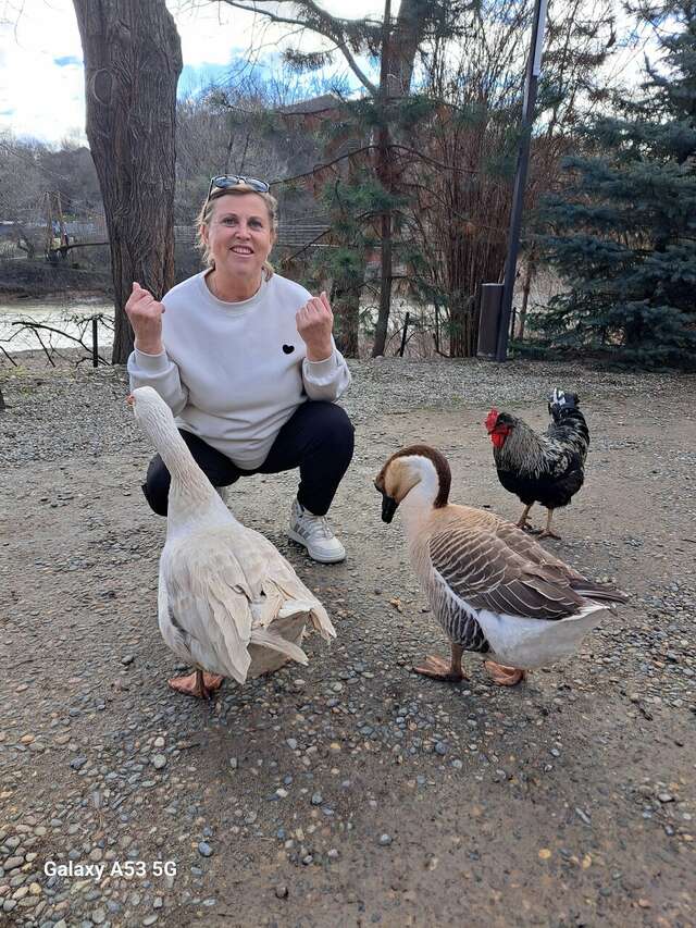 Гостиница Рябиновые бусы Каменномостский-218