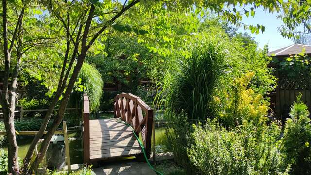 Гостиница Рябиновые бусы Каменномостский-185