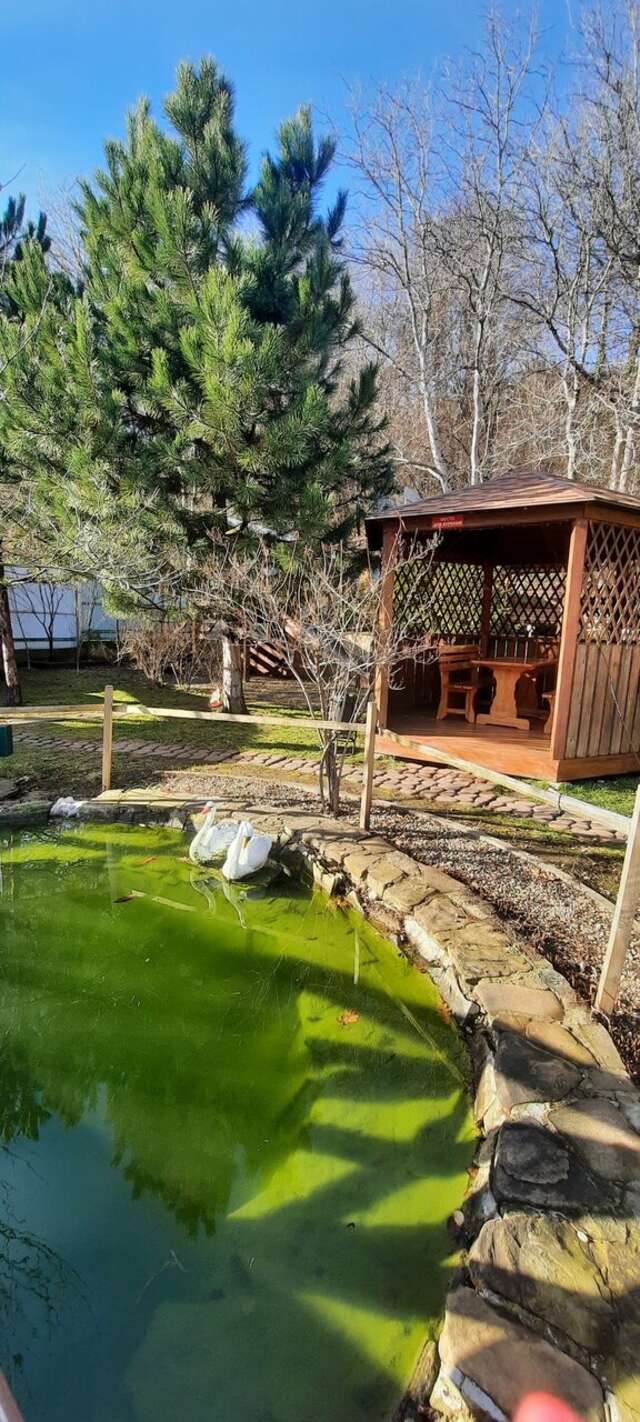 Гостиница Рябиновые бусы Каменномостский-168