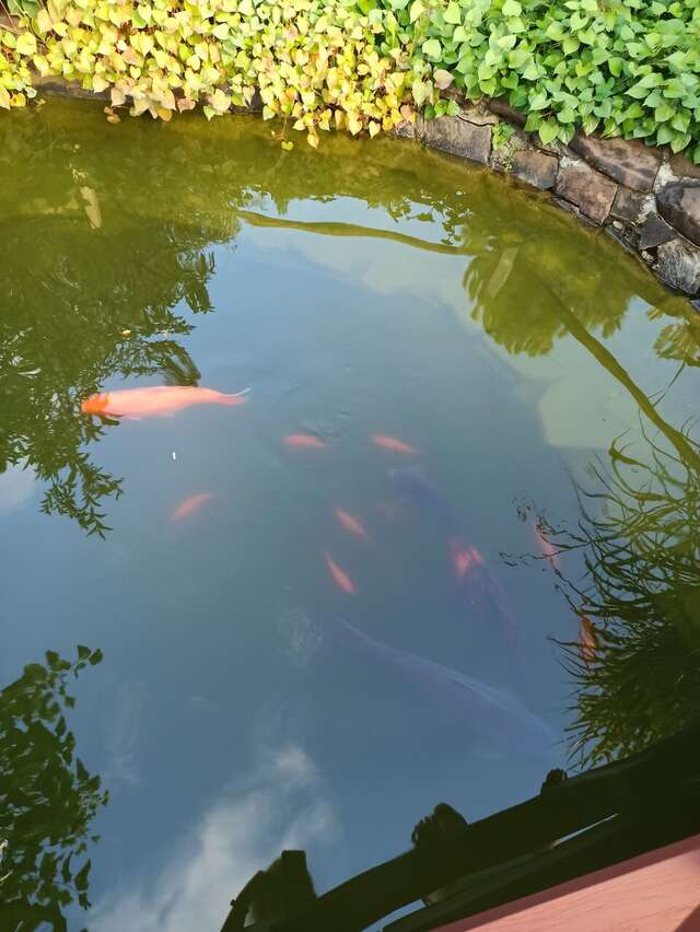 Гостиница Рябиновые бусы Каменномостский-105