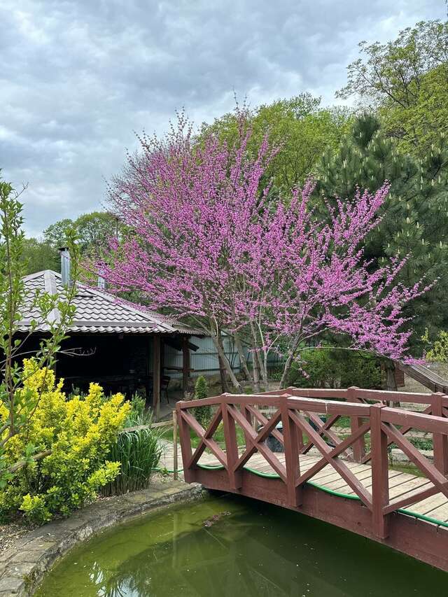 Гостиница Рябиновые бусы Каменномостский-159