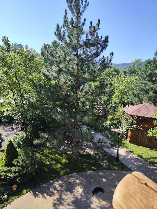 Гостиница Рябиновые бусы Каменномостский-152