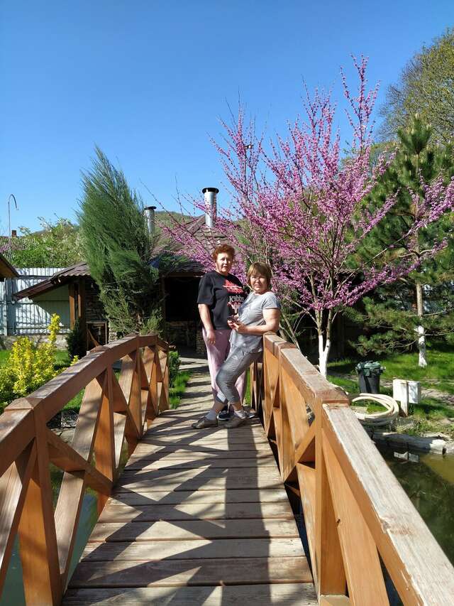 Гостиница Рябиновые бусы Каменномостский-205